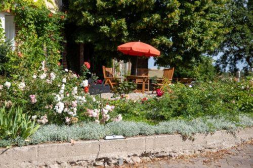 Apartament Landurlaub Auf Dem Mellenhof Funkenhagen Zewnętrze zdjęcie
